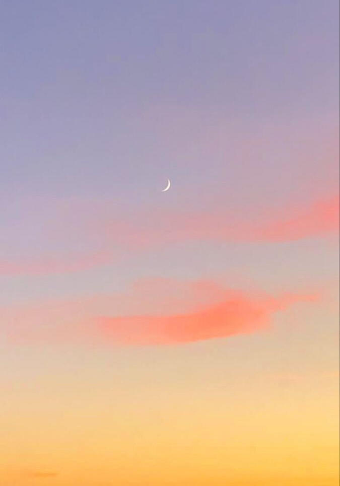 Soporte por WhatsApp.